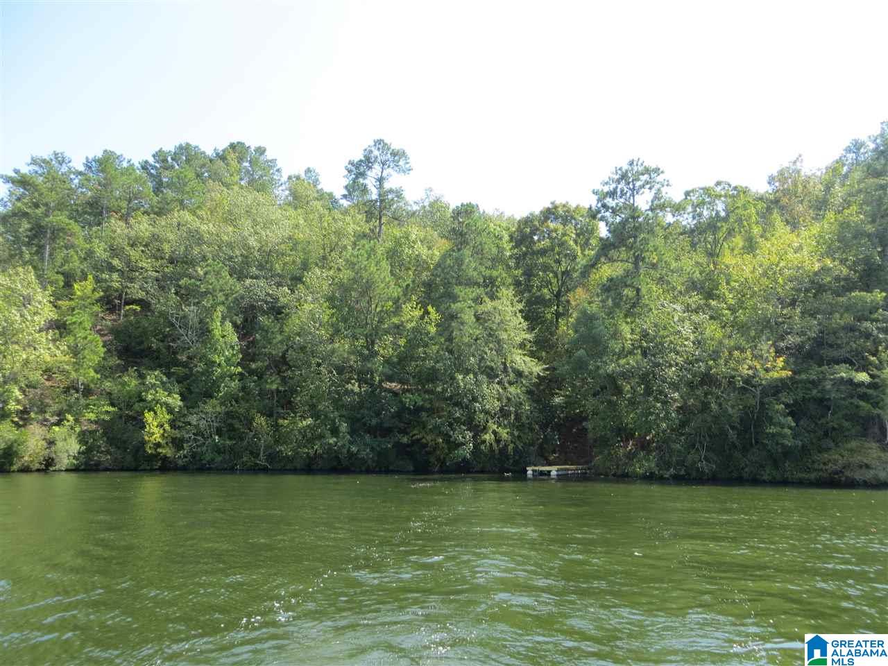 0 Bluff Road, Unit 1 Rockford, AL 35136 - Photo 1 of 18