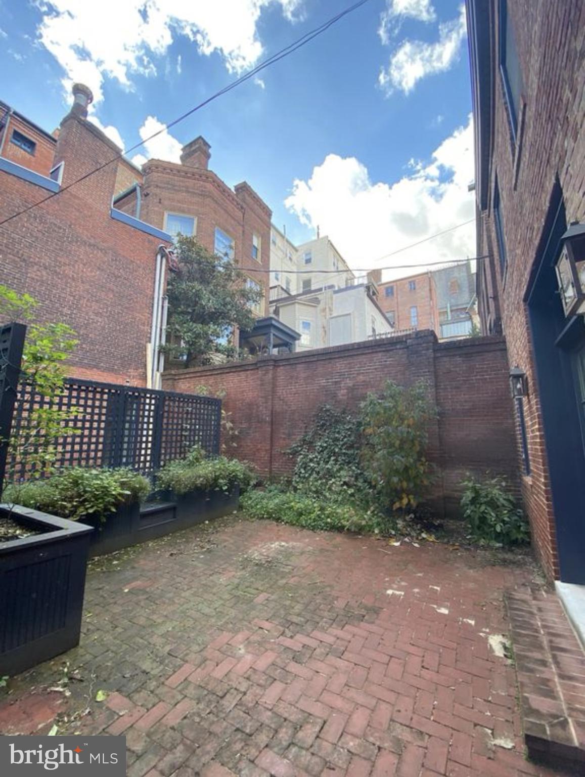 19 Branch Lane East Baltimore, MD 21202 - Photo 12 of 13 a view of a backyard with plants