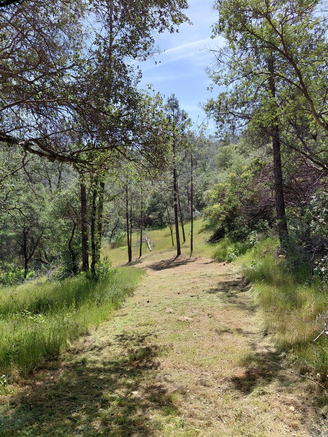 0 Swedes Flat Road Oroville, CA 95966 - Photo 19 of 23
