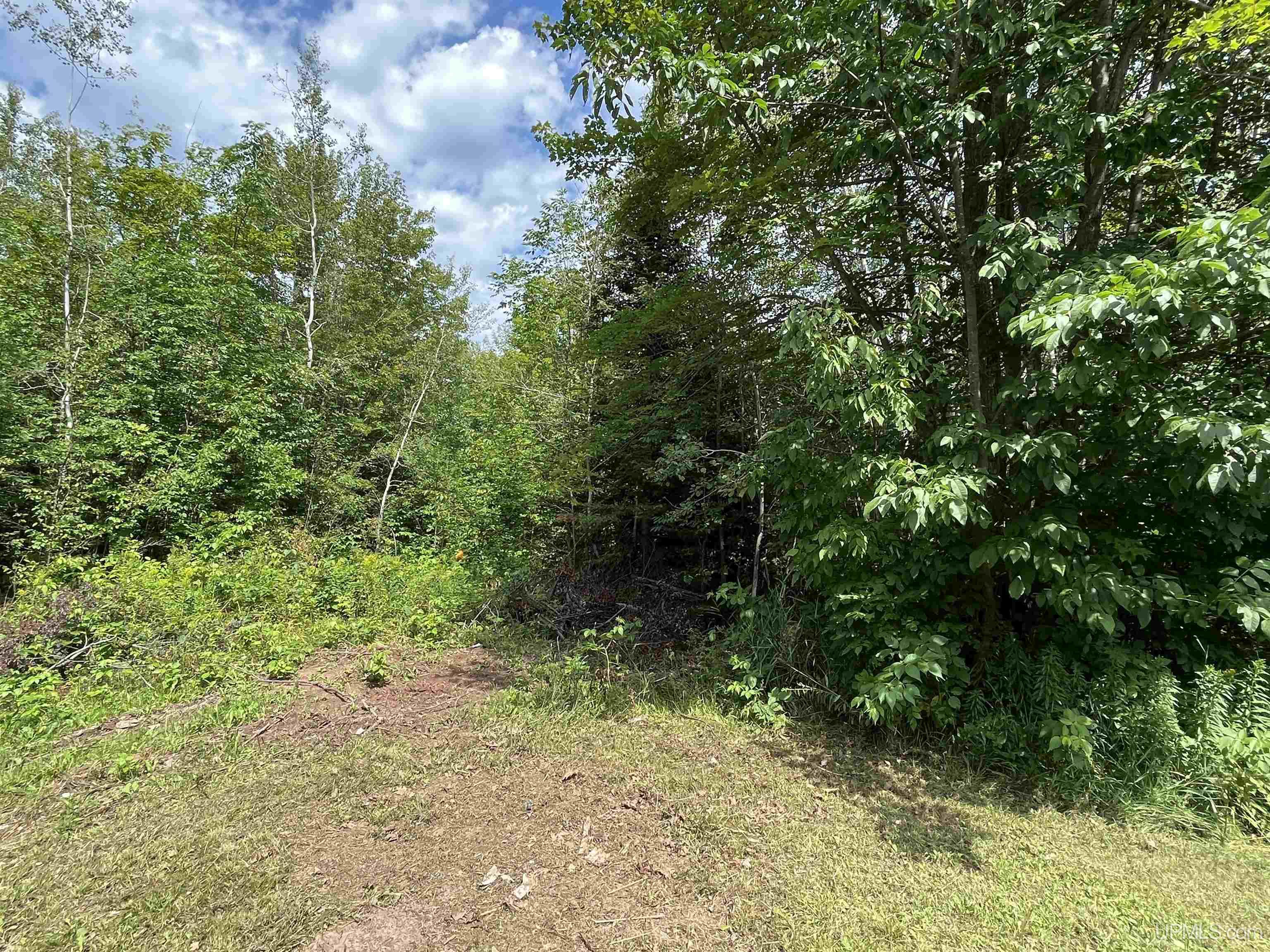 31716 Norwich Road Ontonagon, MI 49953 - Photo 24 of 24 Gallery Image 24