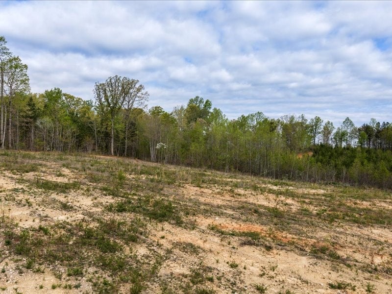 Cutbanks Road Pamplin, VA 23958 - Photo 12 of 44 Gallery Image 12