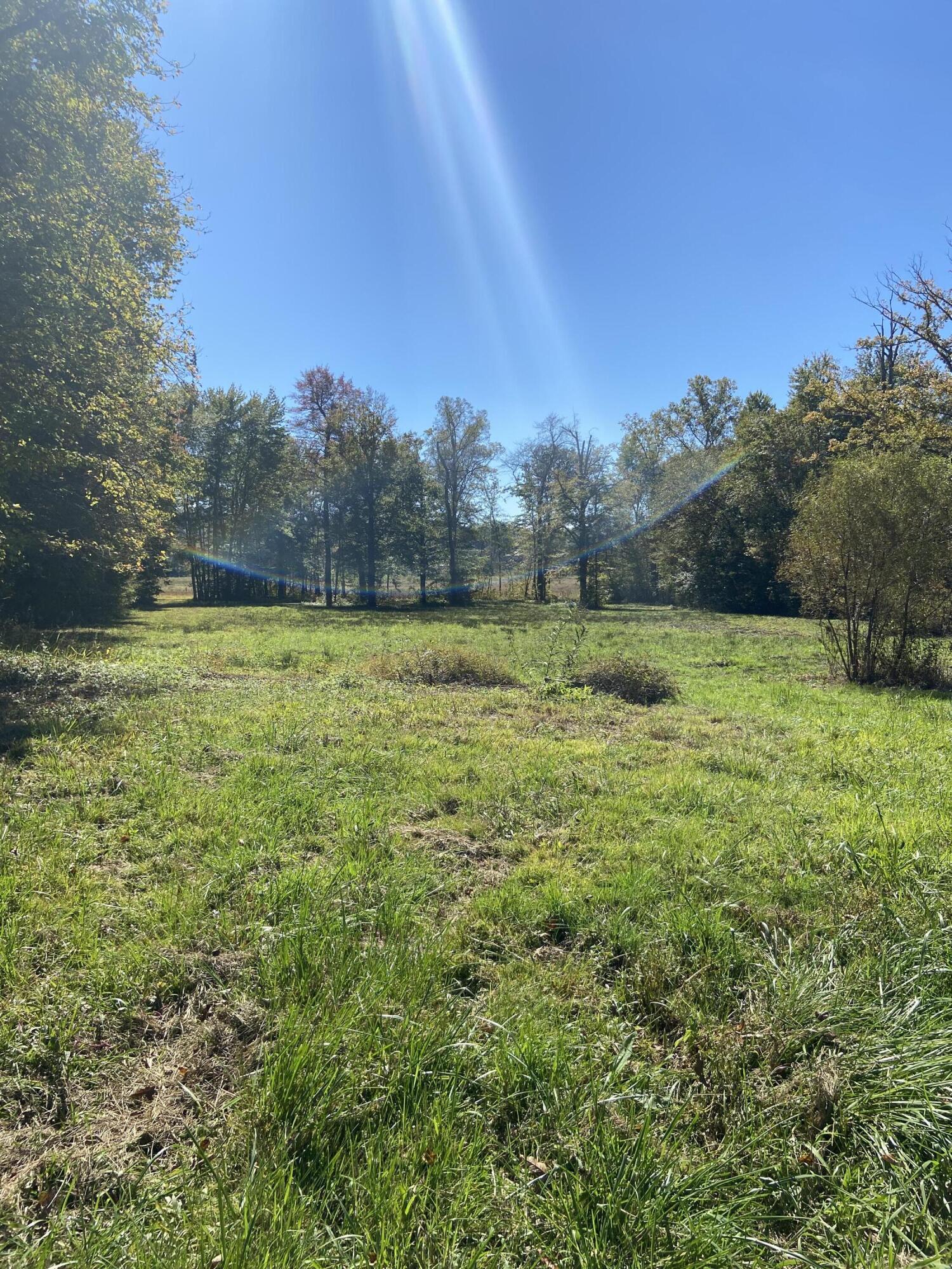 6157 East Laurel Road London, KY 40741 - Photo 11 of 13 IMG_4223
