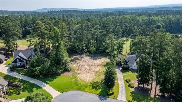 an aerial view of a house with a yard and large trees