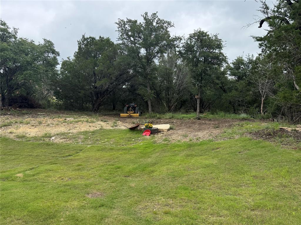 355 Sunset Cove Bluff Dale, TX 76433 - Photo 5 of 40 a view of swimming pool with a yard and trees