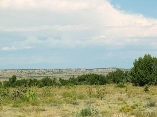Lot 29 Turkey Ridge Road Walsenburg, CO 81089 - Photo 11 of 16