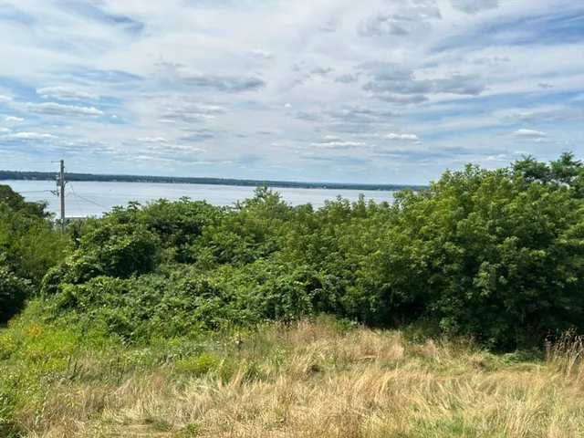 a backyard of a building with lots of green space