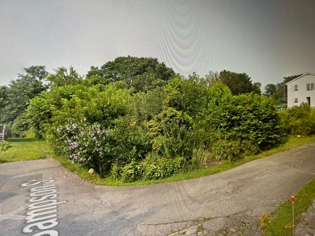 a view of a garden with pathway