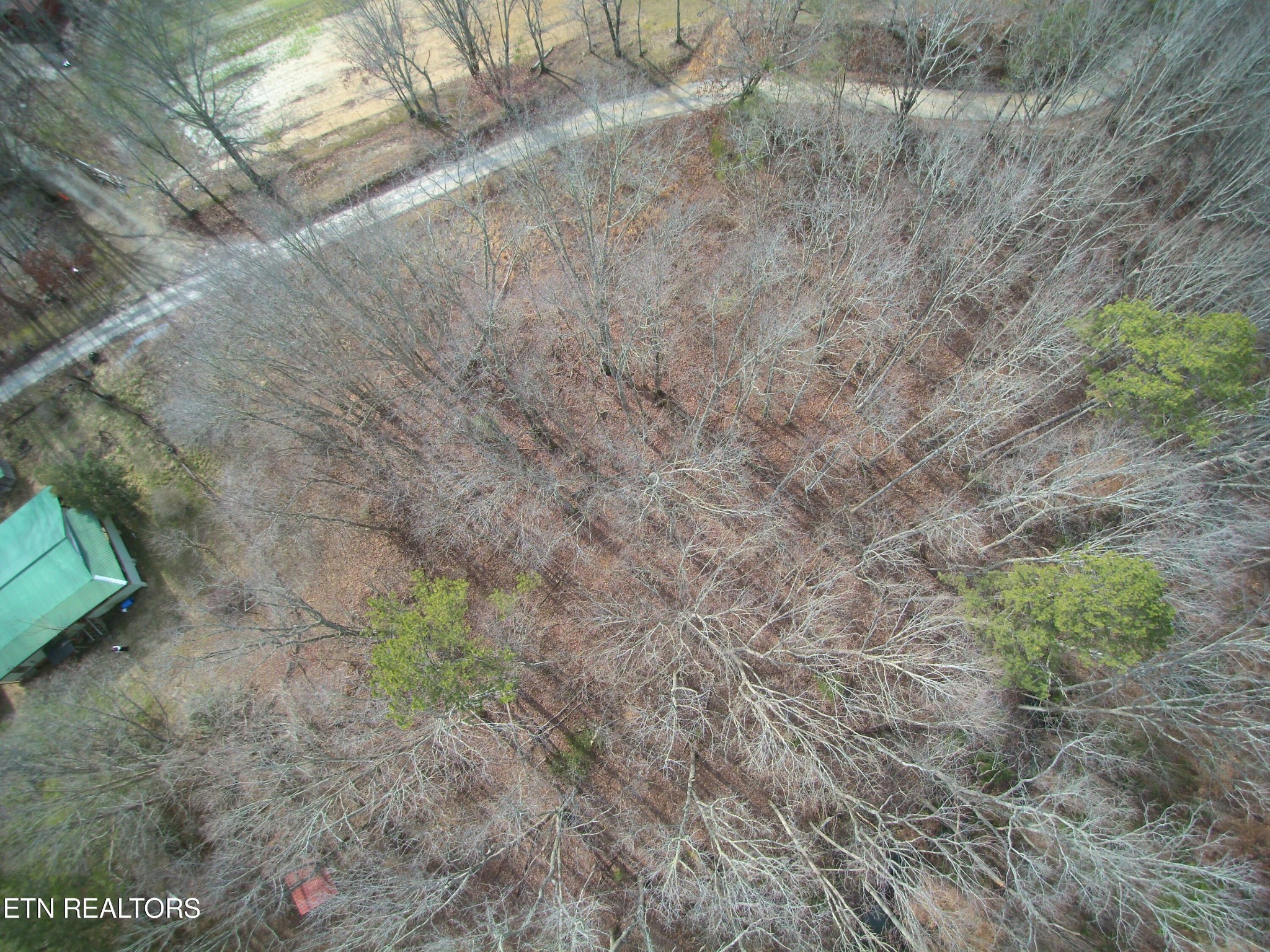 1 Obis Bowling Road Robbins, TN 37852 - Photo 6 of 6 Gallery Image 6