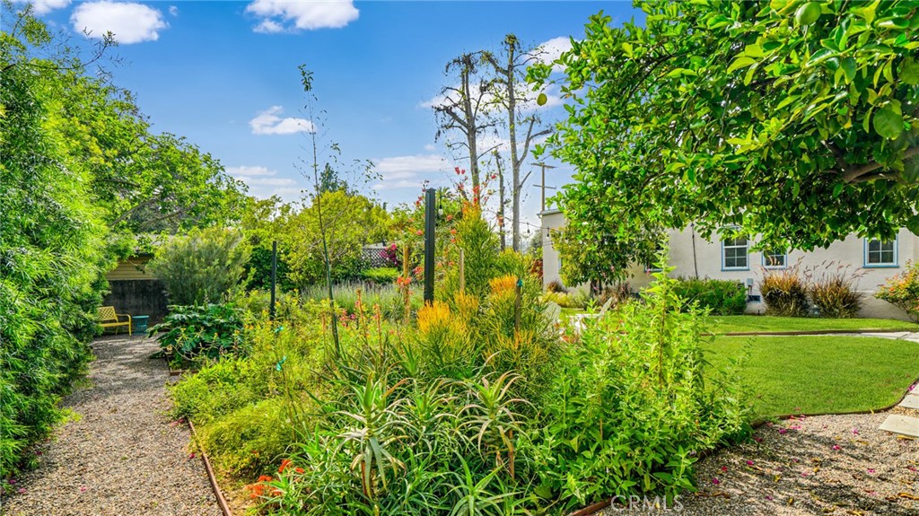270 Clinton Street Pasadena, CA 91103 - Photo 64 of 75 a view of a garden with plants