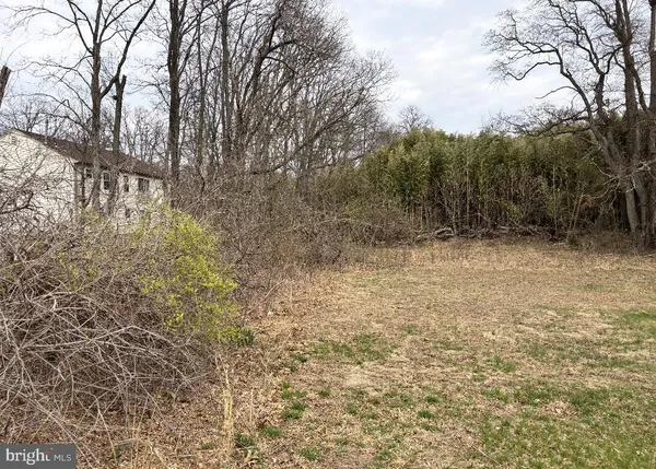 a view of a yard with trees