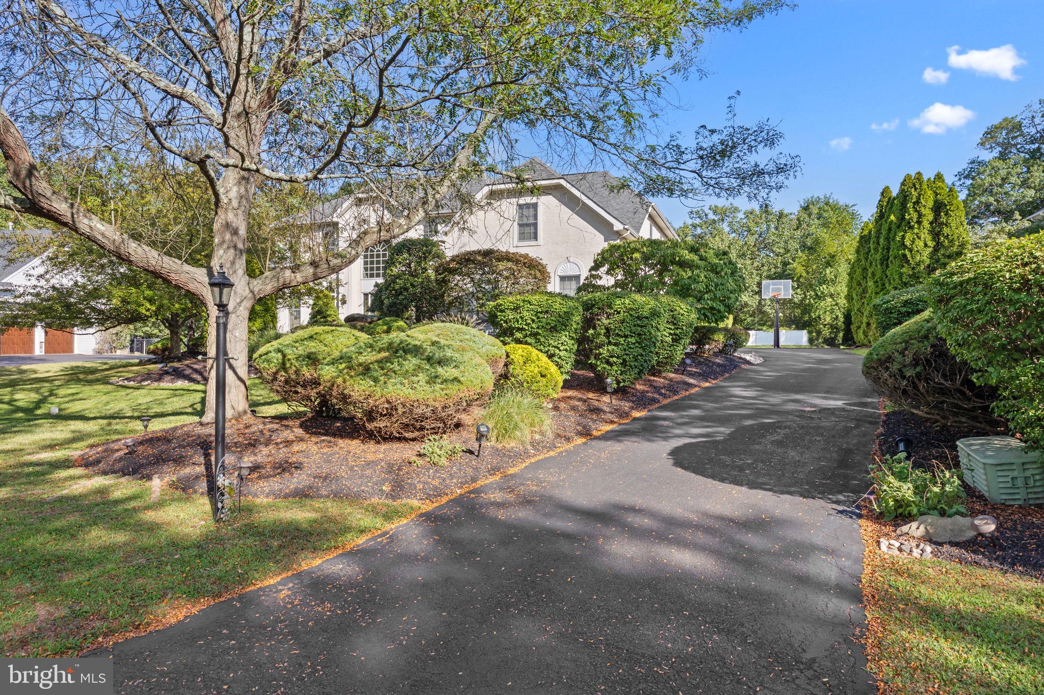 3689 Hancock Lane Doylestown, PA 18902 - Photo 61 of 78 a view of a street with potted plants and large trees