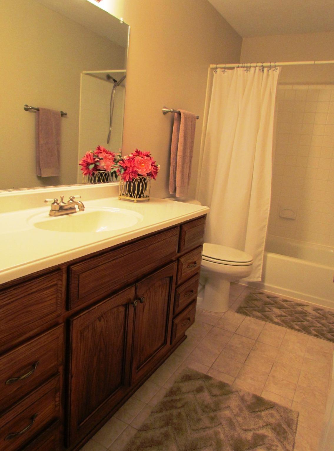 5300 Sundance Road Salem, VA 24153 - Photo 17 of 31 Bathroom Full Main Level.