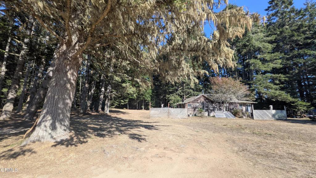 a view of snow on a road