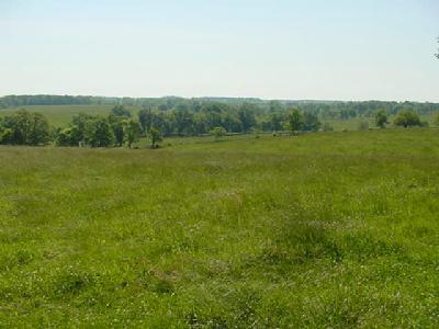 0 Hog Creek Road, Unit T 1 Ozark, MO 65721 - Photo 1 of 1 Primary Photo