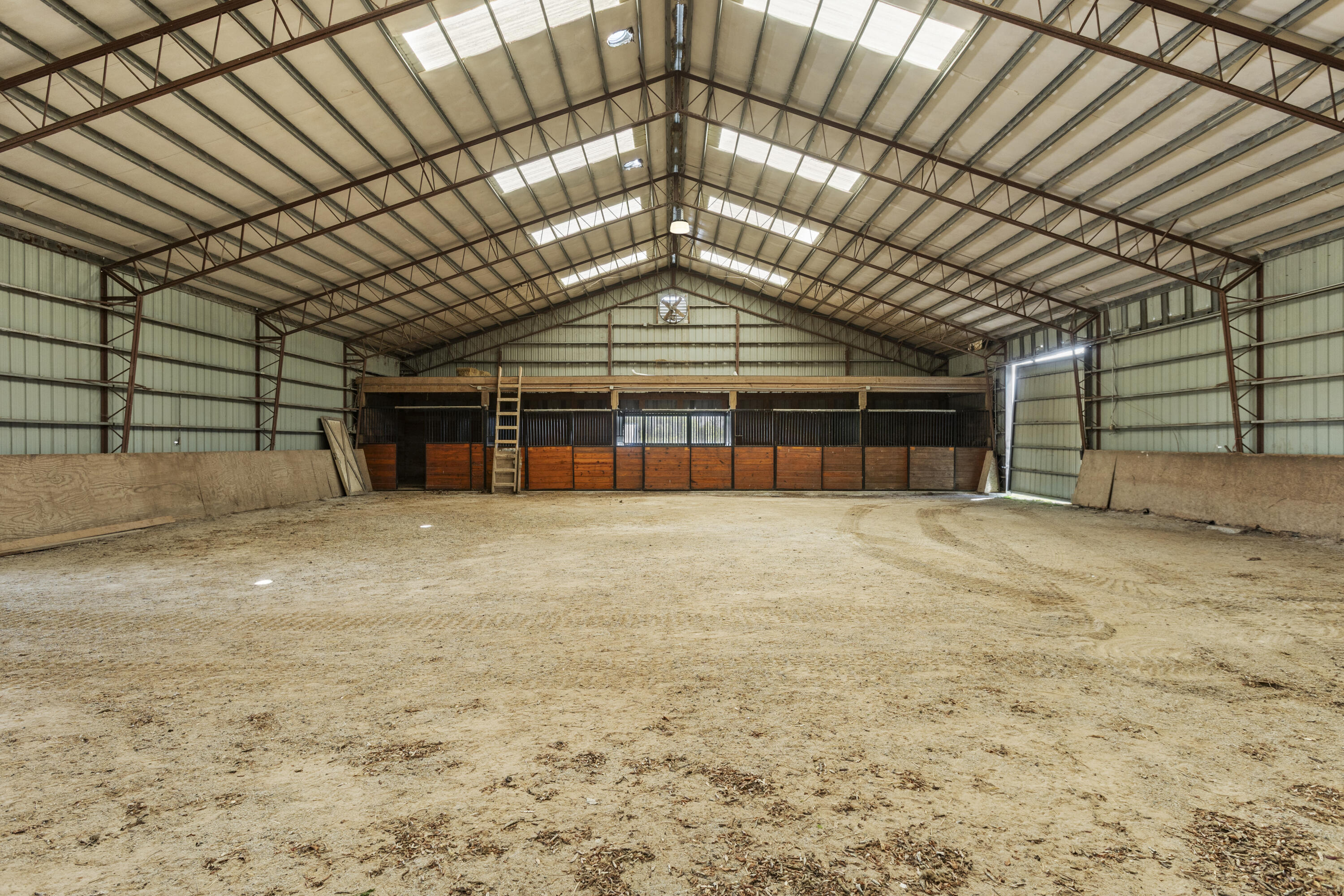 583 College Road Paris, KY 40361 - Photo 24 of 39 I82A9084