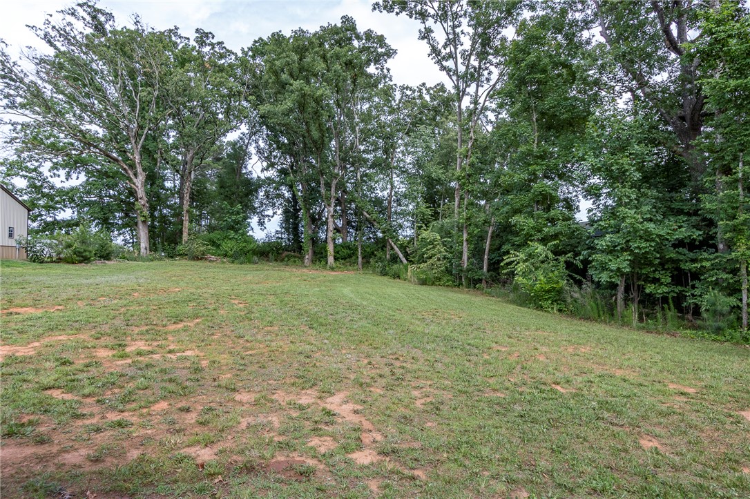 3080 McGee Road Iva, SC 29655 - Photo 39 of 49 A verdant, open lot with mature trees defining the property's edge, offering privacy and natural beauty.