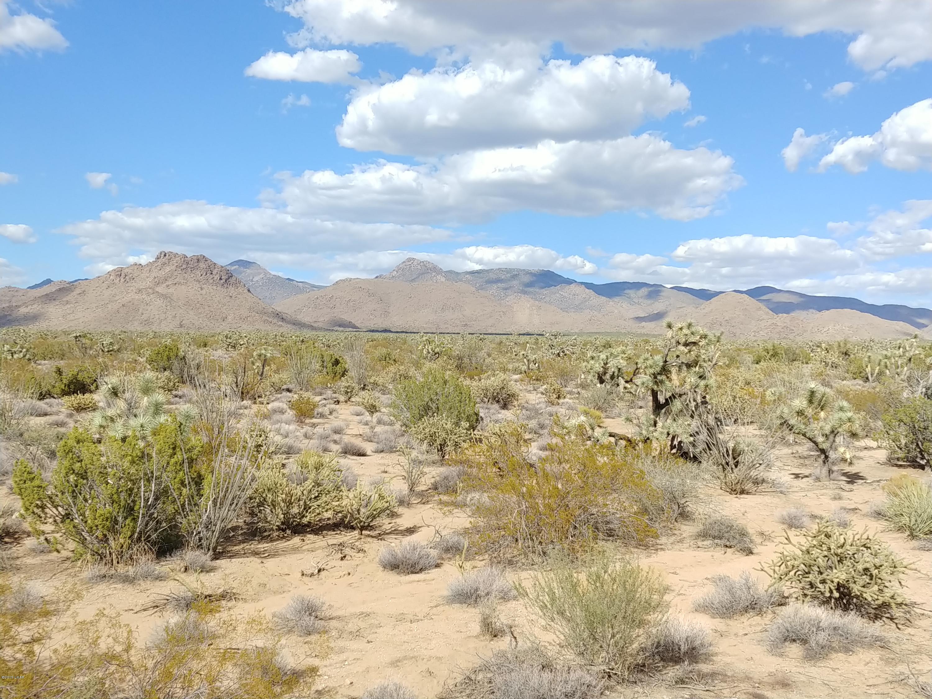 2546 South Javalina Road Yucca, AZ 86438 - Photo 2 of 26 0923181529