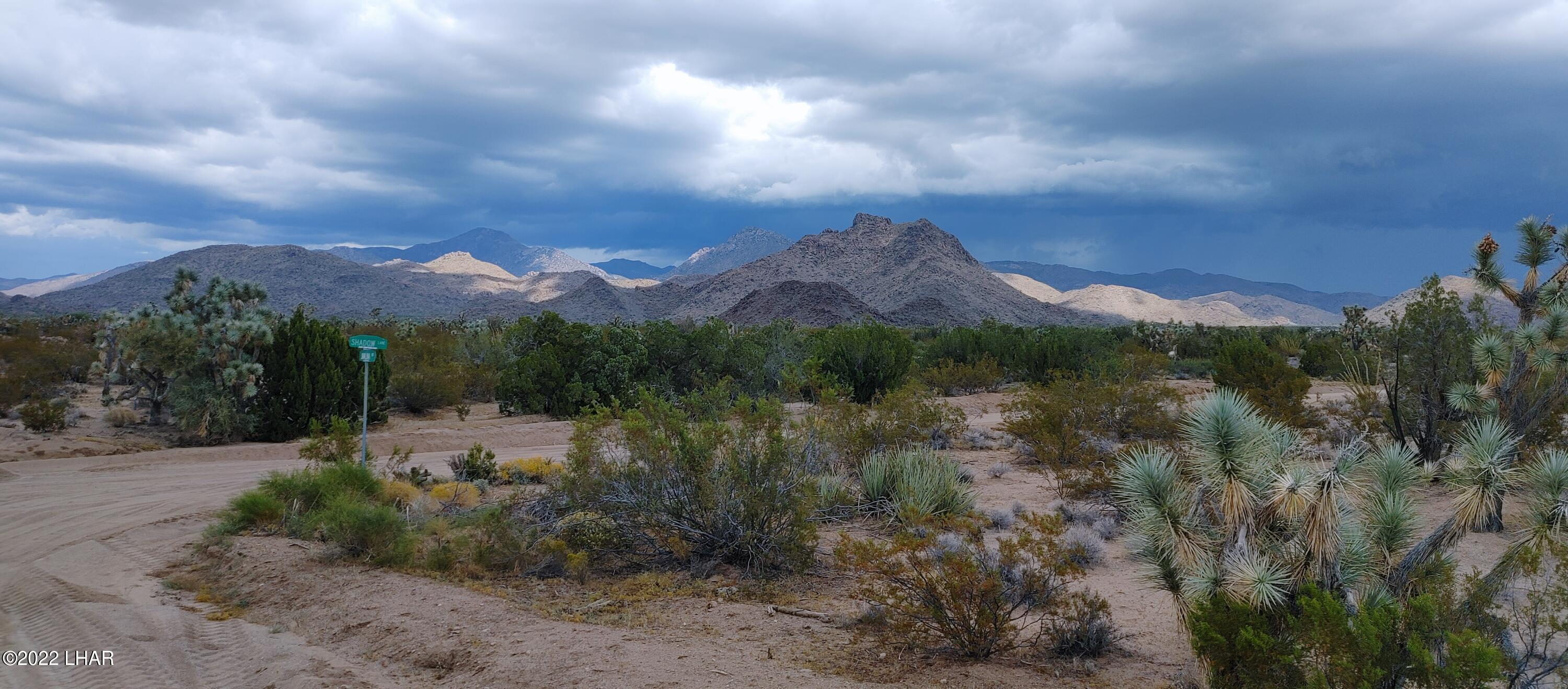 2546 South Javalina Road Yucca, AZ 86438 - Photo 3 of 26 40-Acres Desirable eastside Neighborhood