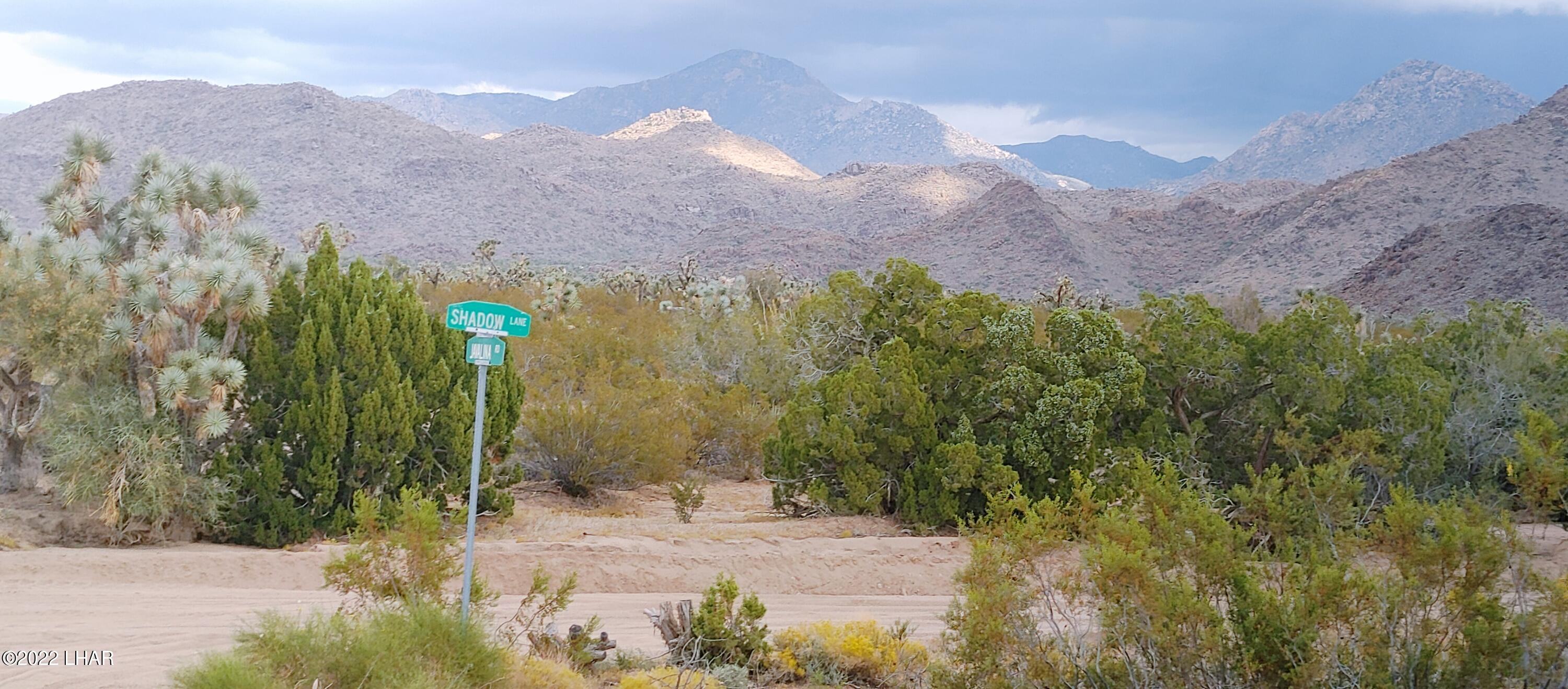 2546 South Javalina Road Yucca, AZ 86438 - Photo 5 of 26 1003221210