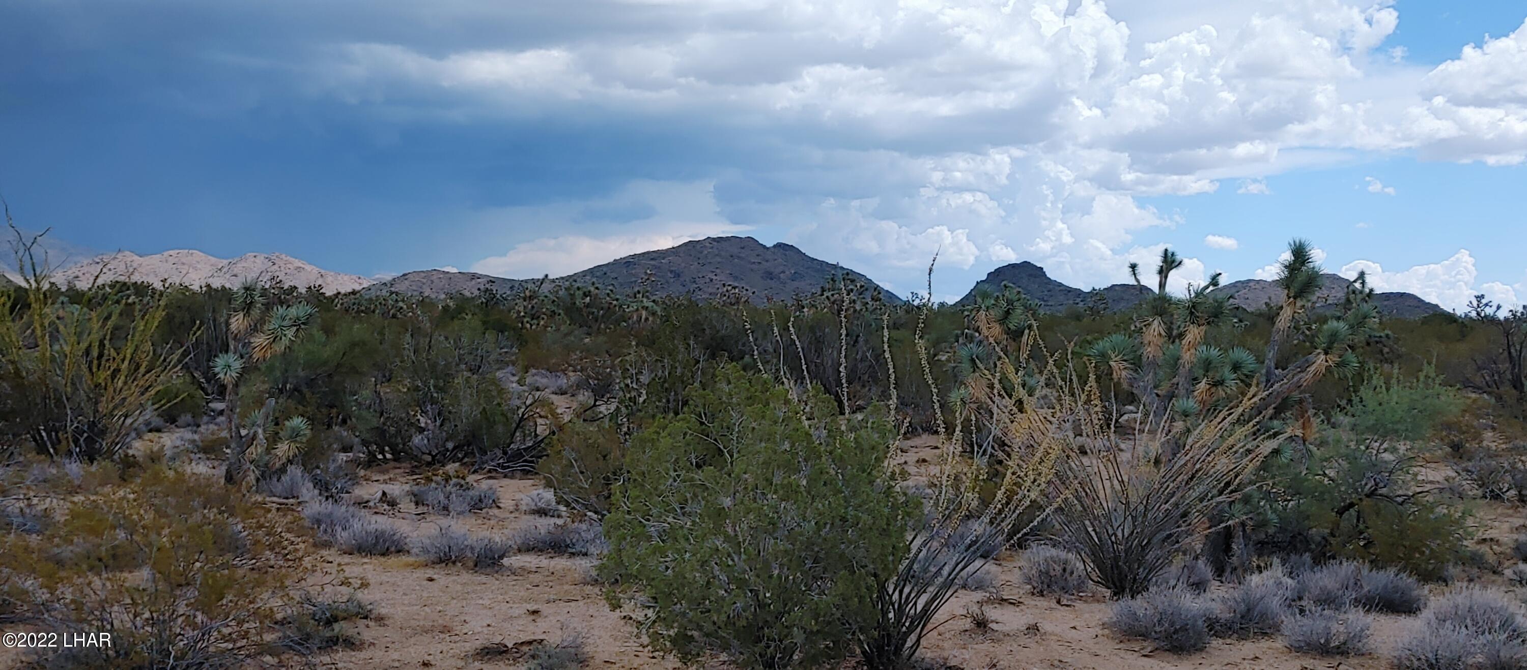 2546 South Javalina Road Yucca, AZ 86438 - Photo 6 of 26 1003221209d_HDR