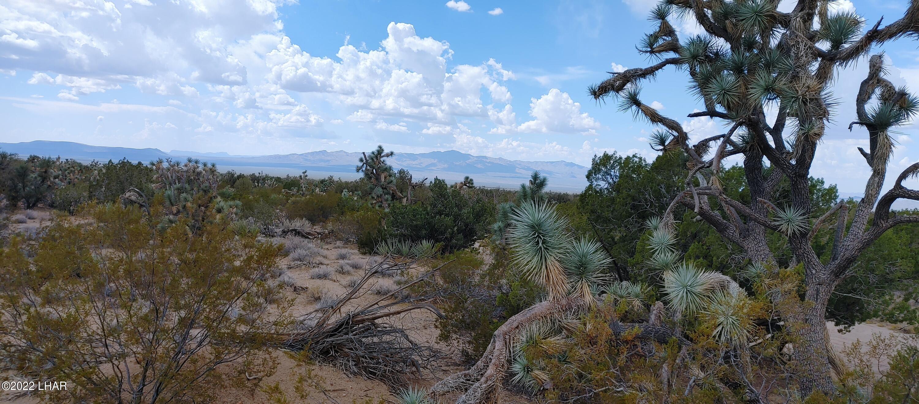 2546 South Javalina Road Yucca, AZ 86438 - Photo 7 of 26 1003221210_HDR