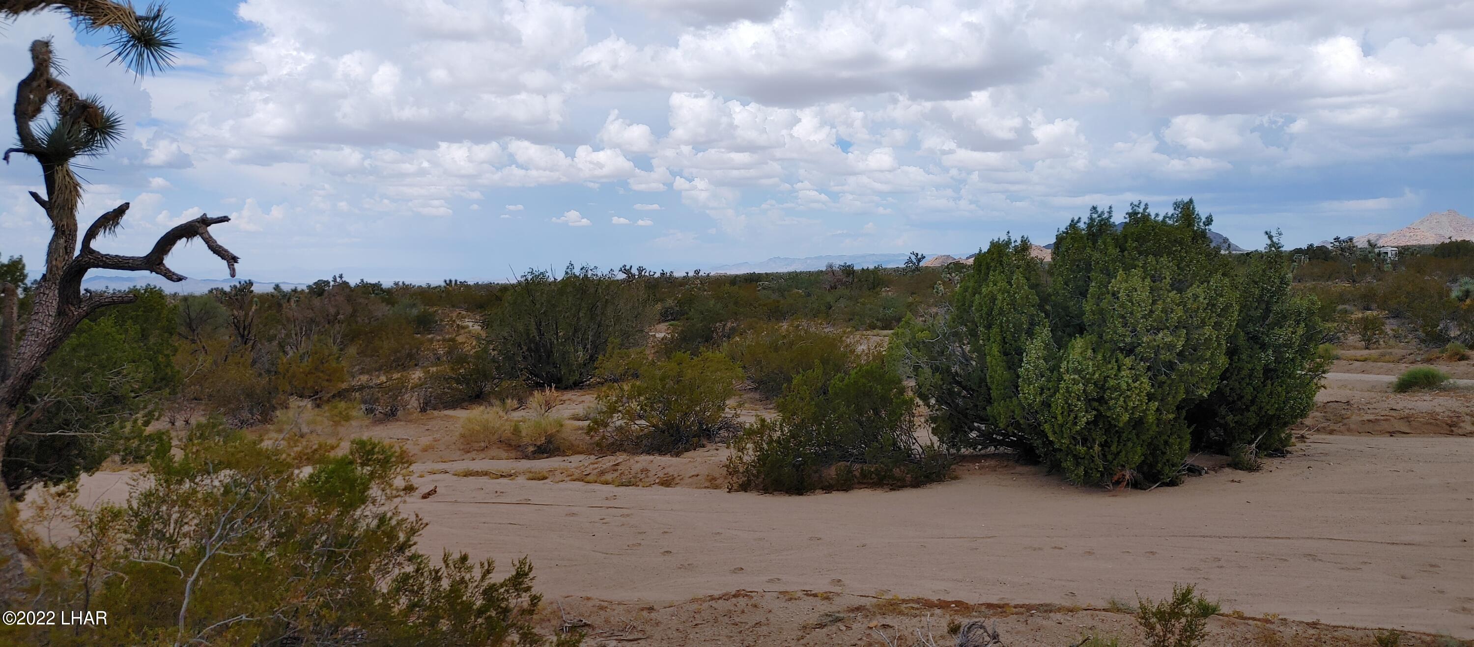2546 South Javalina Road Yucca, AZ 86438 - Photo 8 of 26 1003221210a_HDR