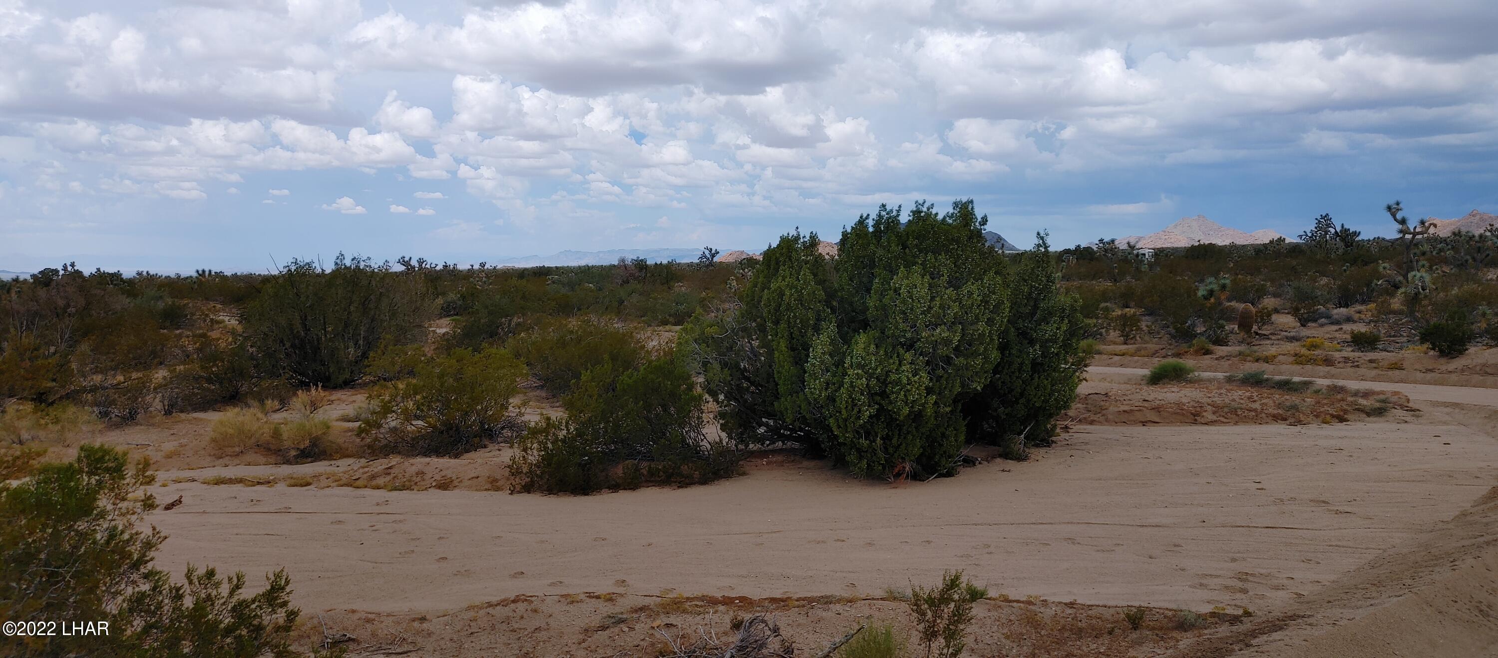 2546 South Javalina Road Yucca, AZ 86438 - Photo 9 of 26 1003221210b_HDR