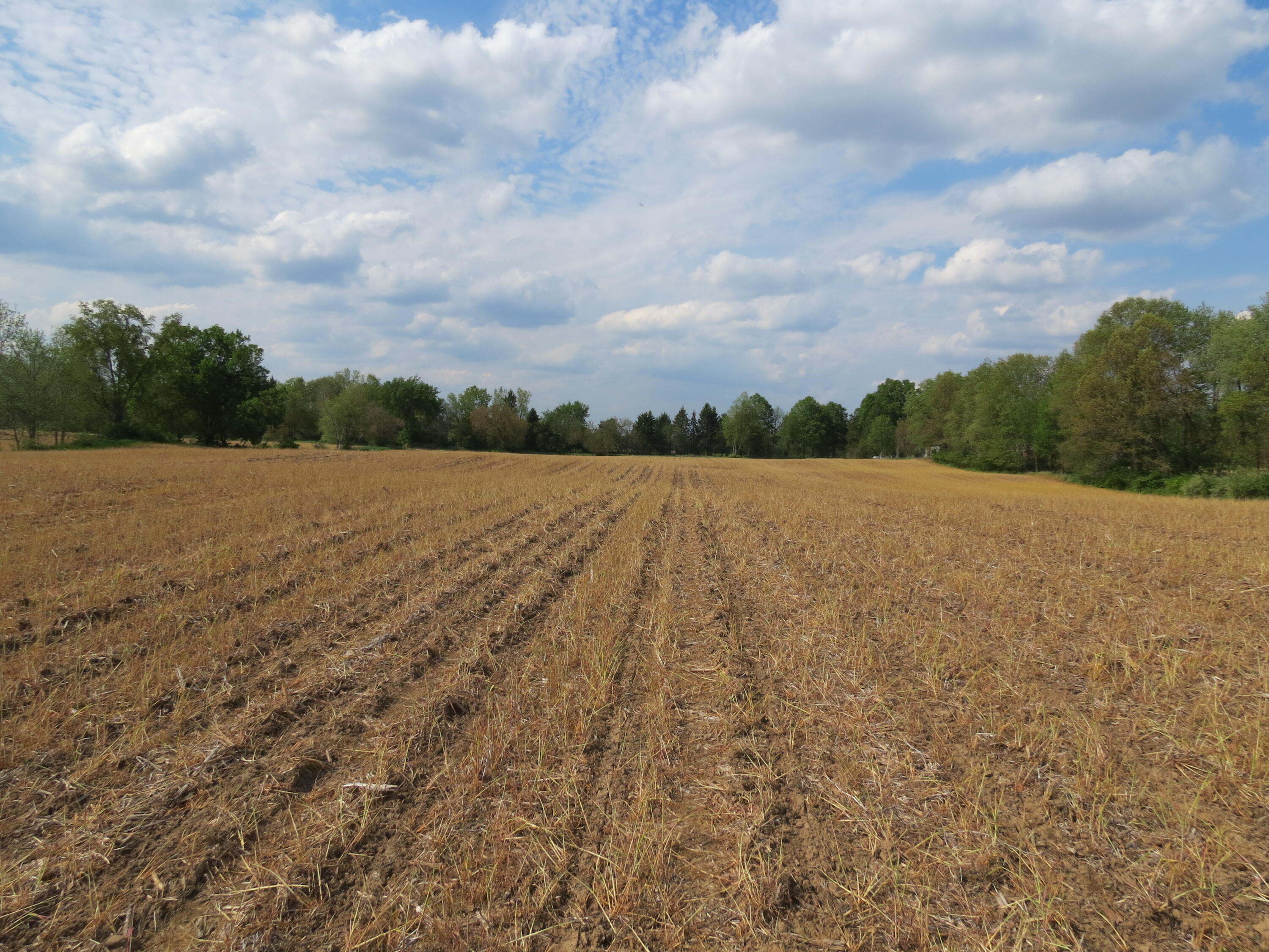 South Stony Lake Road, Unit B Jackson, MI 49201 - Photo 16 of 30 IMG_4257