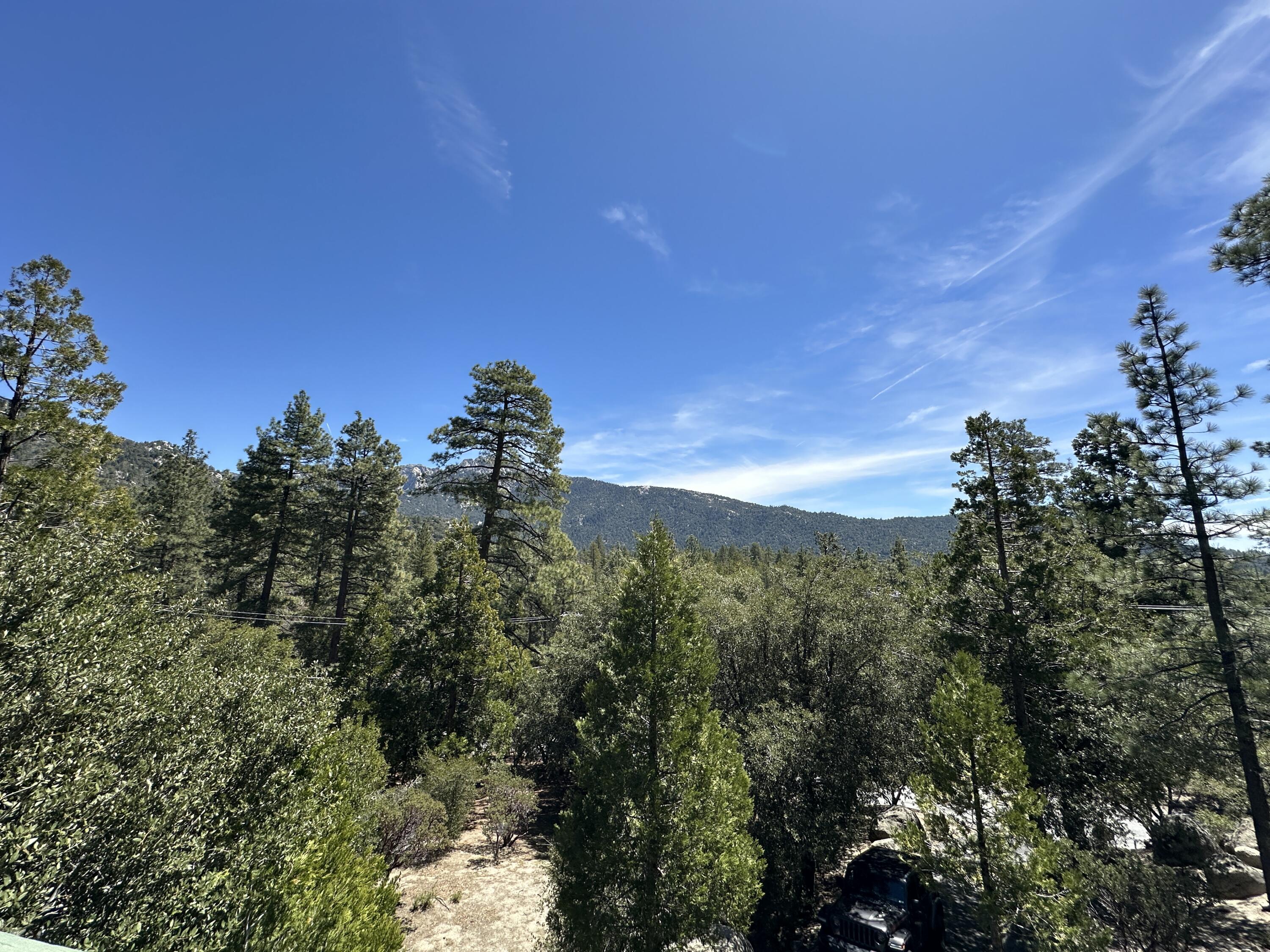 53690 Jeffery Pine Road Idyllwild, CA 92549 - Photo 36 of 39 36