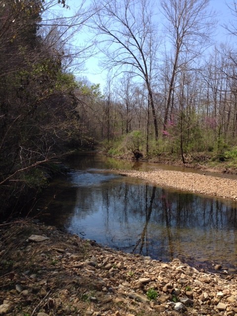 399 Coaling Road Charlotte, TN 37036 - Photo 11 of 32 a view of backyard with green space