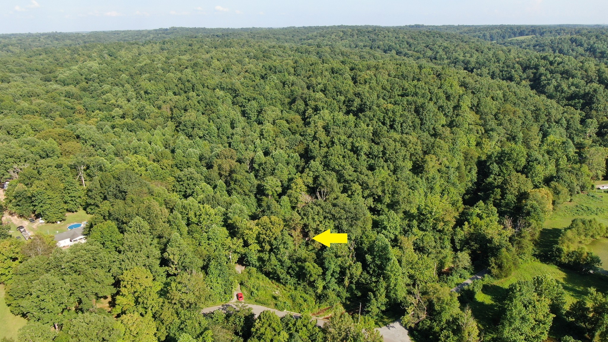 399 Coaling Road Charlotte, TN 37036 - Photo 3 of 32 a view of a forest with a sink