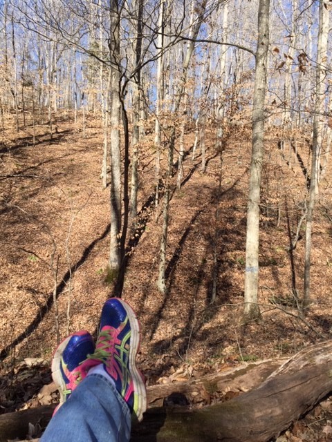 399 Coaling Road Charlotte, TN 37036 - Photo 21 of 32