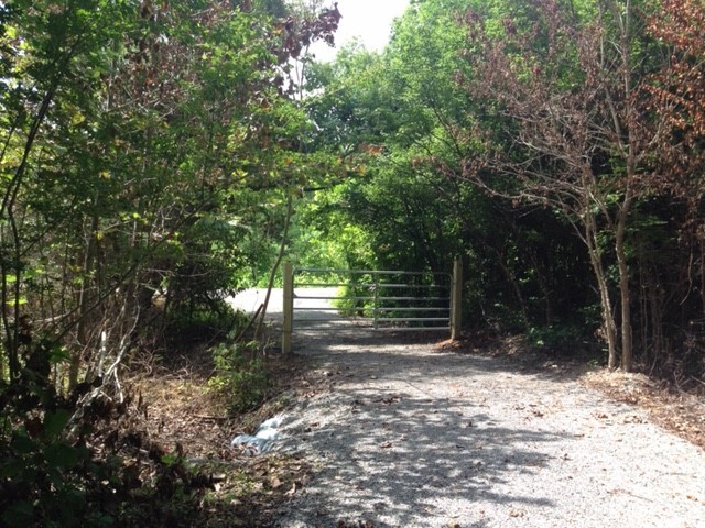 399 Coaling Road Charlotte, TN 37036 - Photo 31 of 32 a view of a yard with plants and trees
