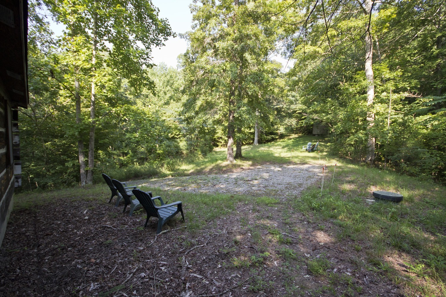 399 Coaling Road Charlotte, TN 37036 - Photo 7 of 32 a view of a forest with large trees