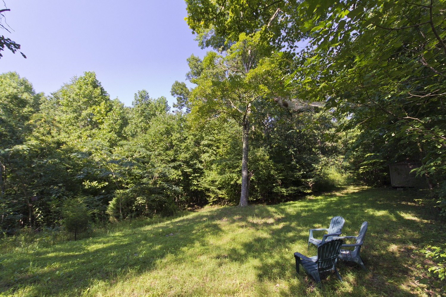 399 Coaling Road Charlotte, TN 37036 - Photo 8 of 32 a backyard of a house with lots of green space and fountain