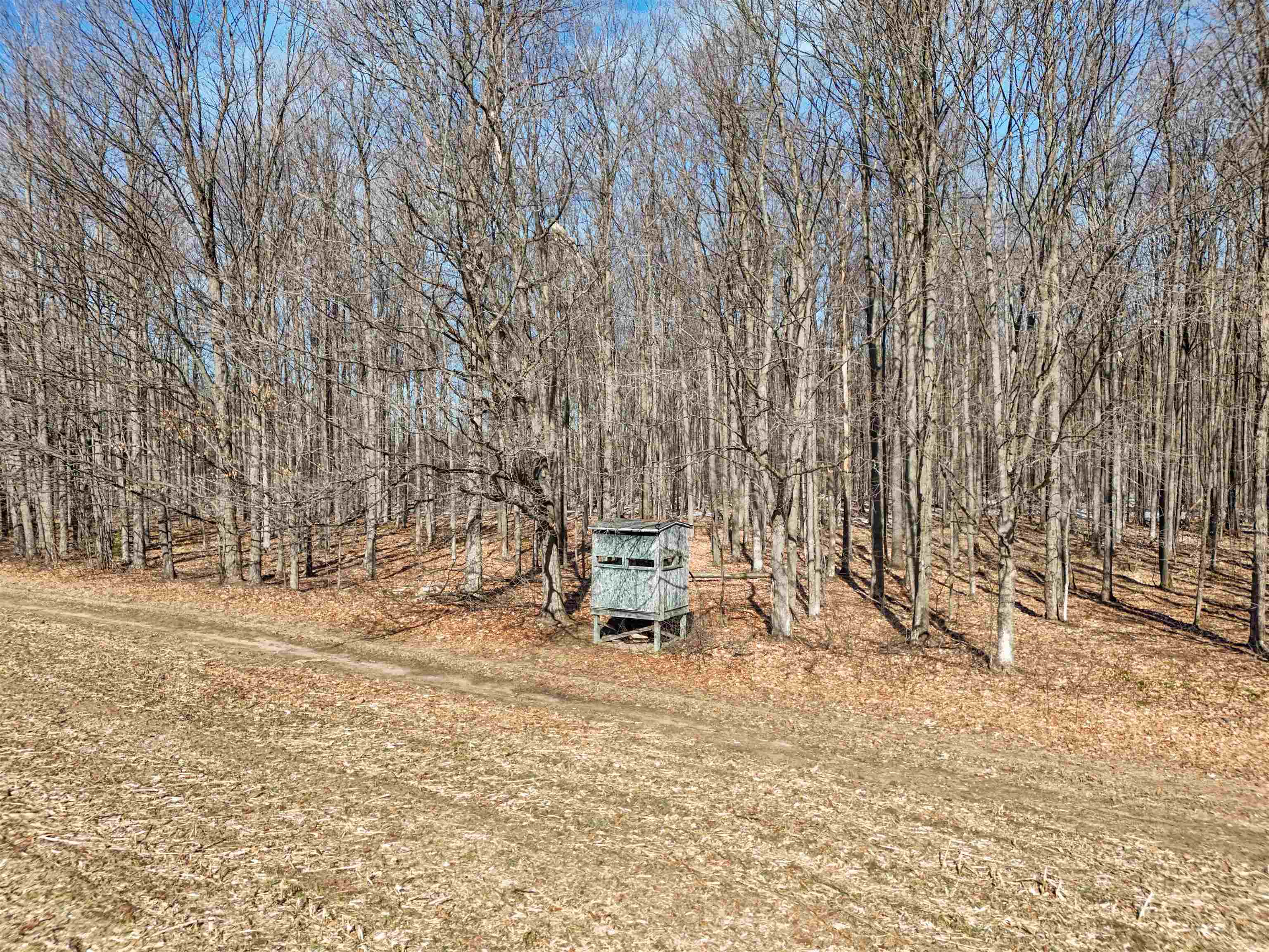 2702 South 27 Road Cadillac, MI 49601 - Photo 10 of 61