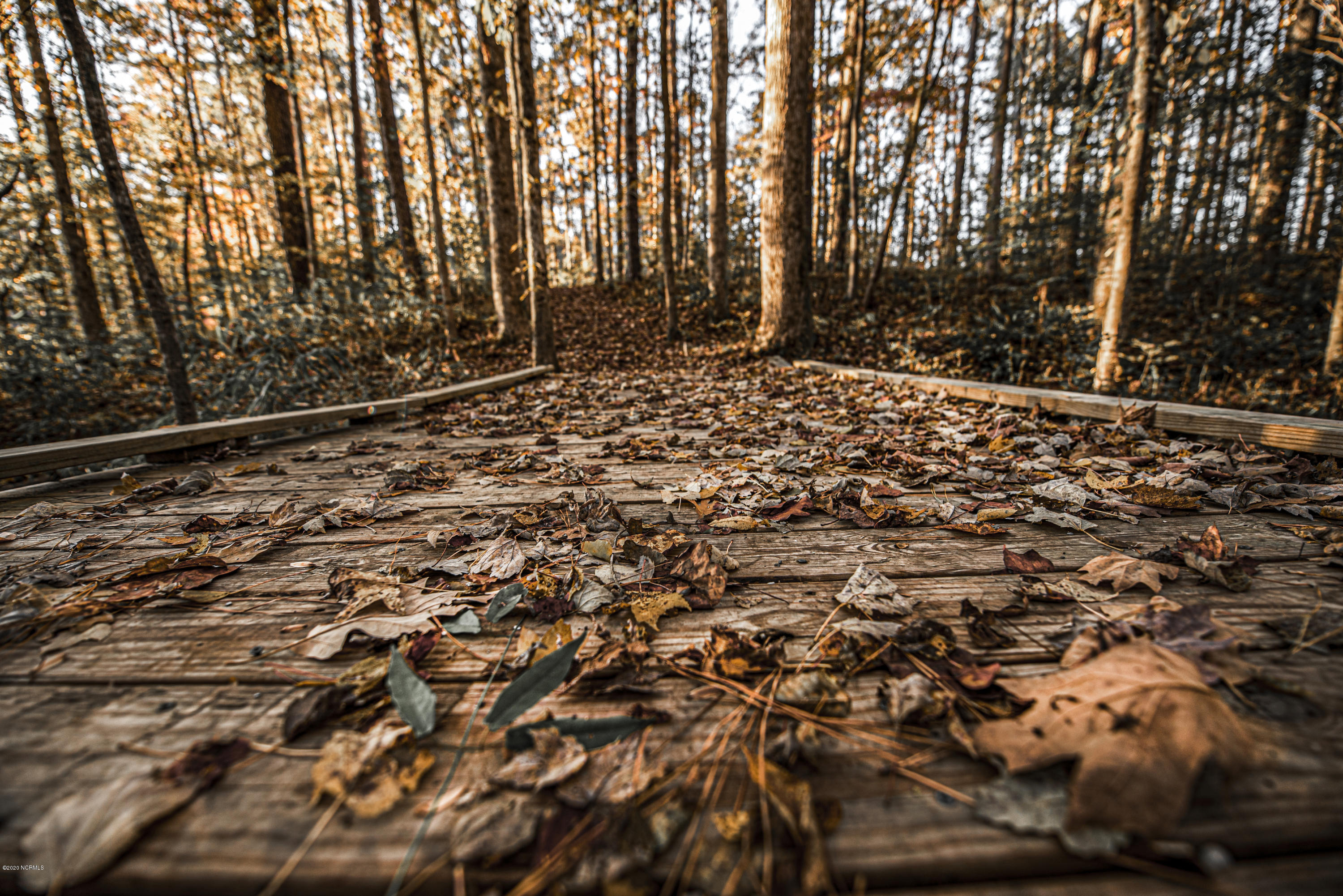 138 Bermuda View New Bern, NC 28560 - Photo 27 of 33 New Bern Civil War Battlefield Park Walking Trail