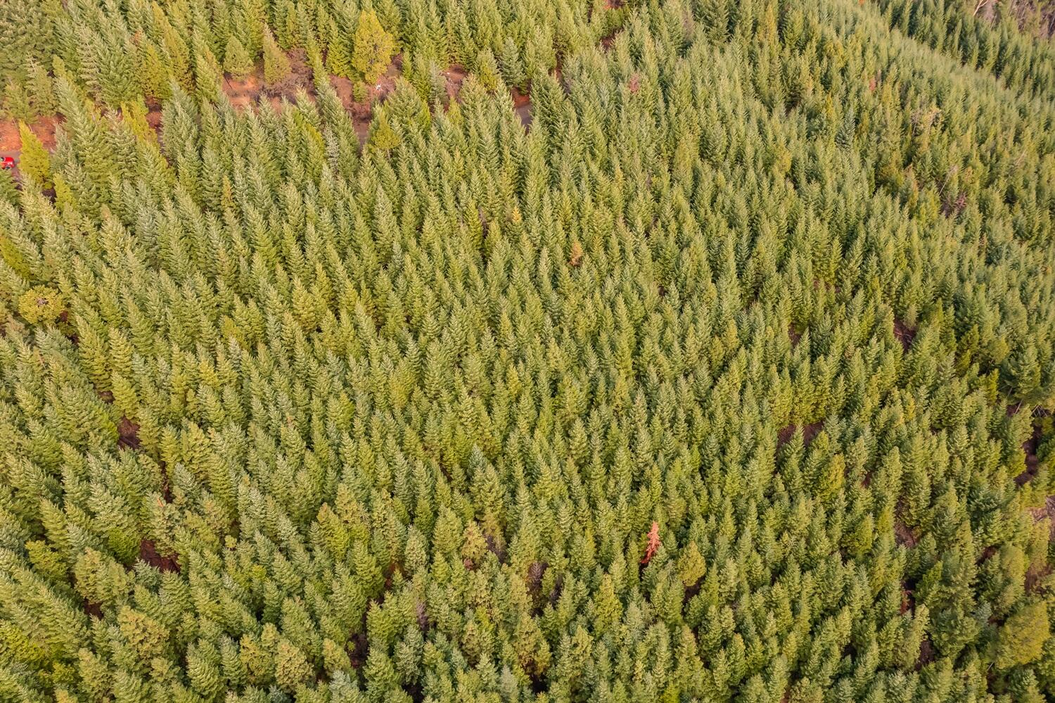 River Road Trail, OR 97541 - Photo 7 of 20 DJI_0931HDR27