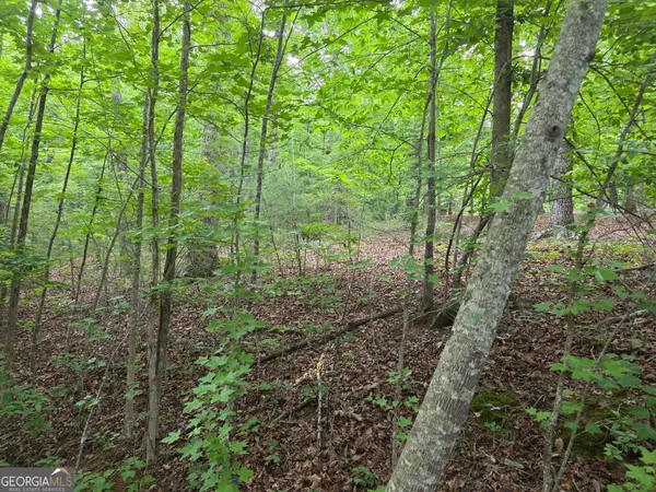$45,000 | 2-lots Oak Forest, Clarkesville, GA 30523