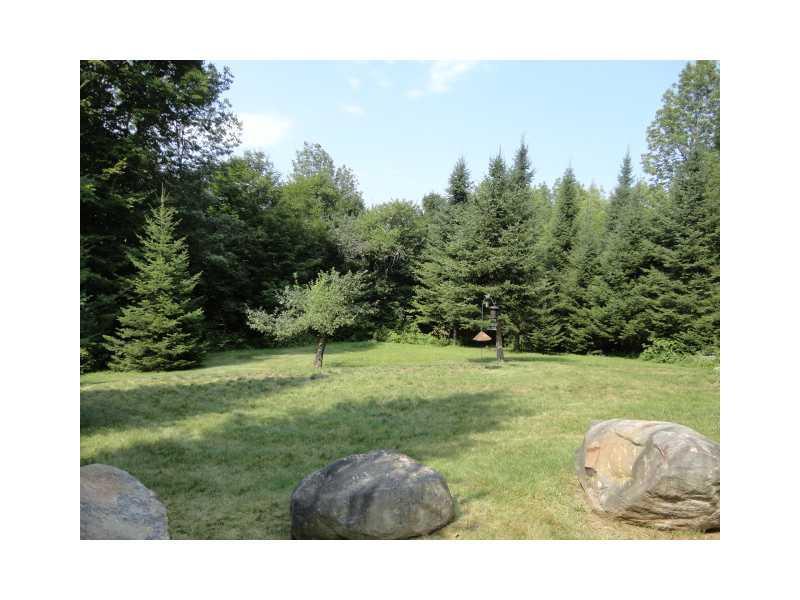 367 Tenney Hill Road Monson, ME 04464 - Photo 9 of 11 Land/Lot. Back yard
