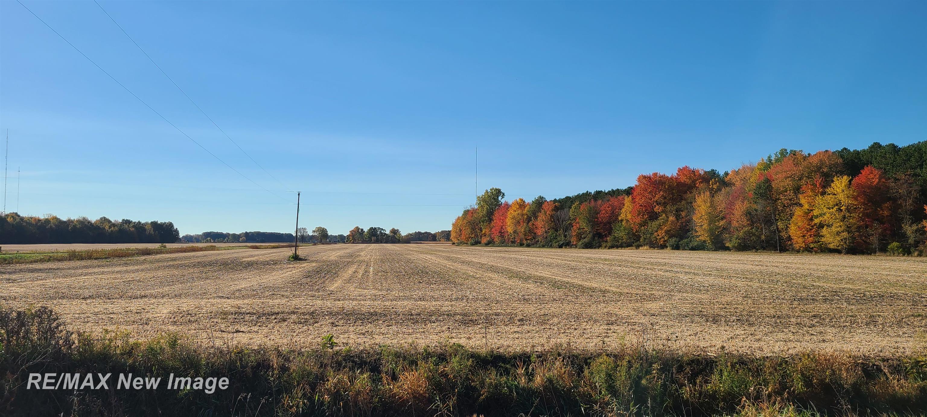 12000 Amman Road St. Charles, MI 48655 - Photo 1 of 9 Gallery Image 1