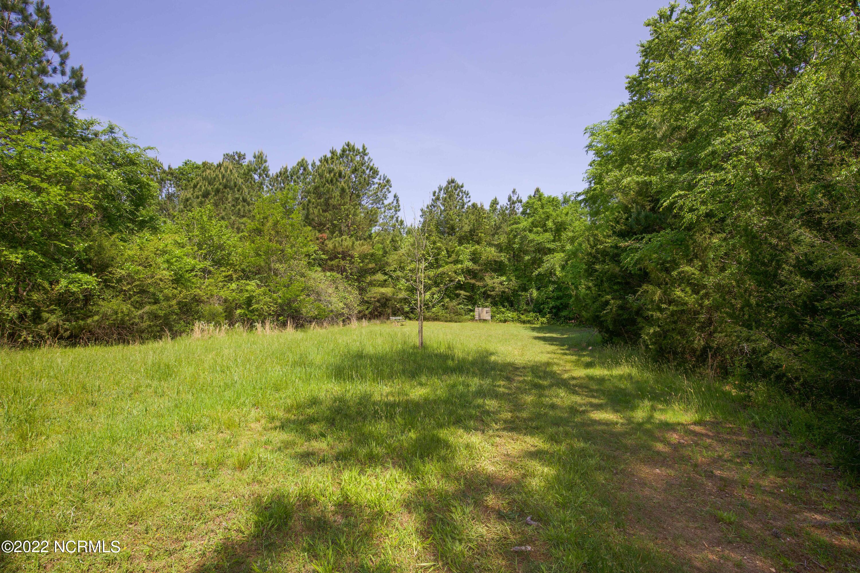 2989 Thickety Creek Road Mount Gilead, NC 27306 - Photo 77 of 84 2989 Thickety Creek Rd-79