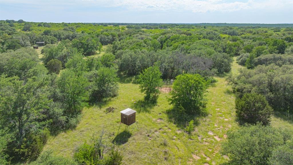 136 Moose Trail Ranger, TX 76470 - Photo 33 of 40 a view of a back yard