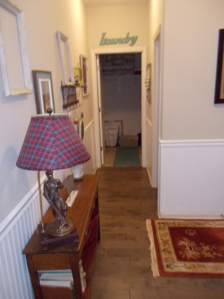 33 Lilac Path Hamilton, GA 31811 - Photo 15 of 46 Main level hallway