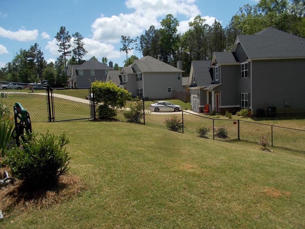 33 Lilac Path Hamilton, GA 31811 - Photo 41 of 46 Side yard