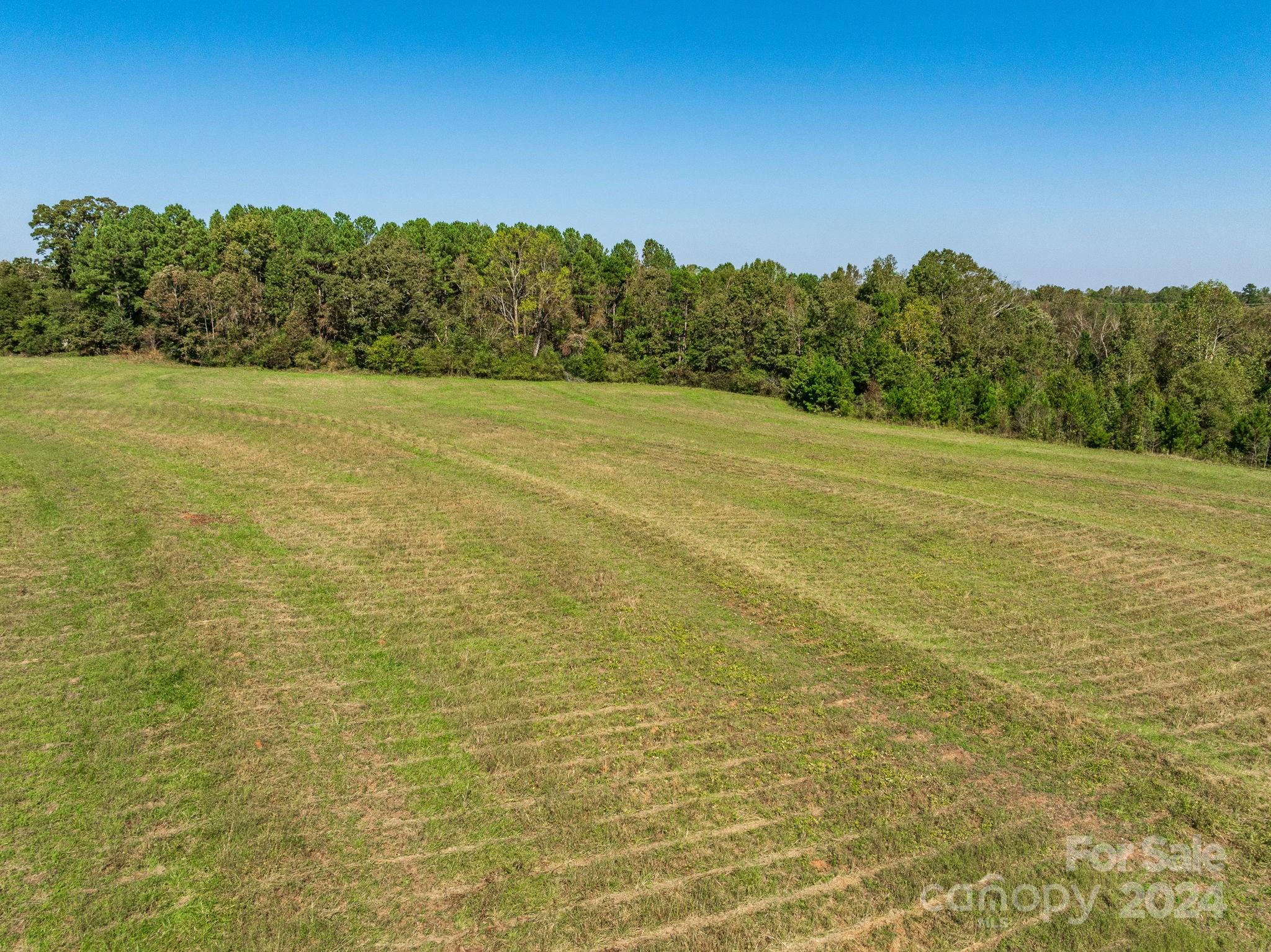 405 Mc Dowell Road Columbus, NC 28722 - Photo 8 of 20 Gallery Image 8