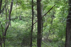 229 Stoup Road Mars, PA 16046 - Photo 1 of 2