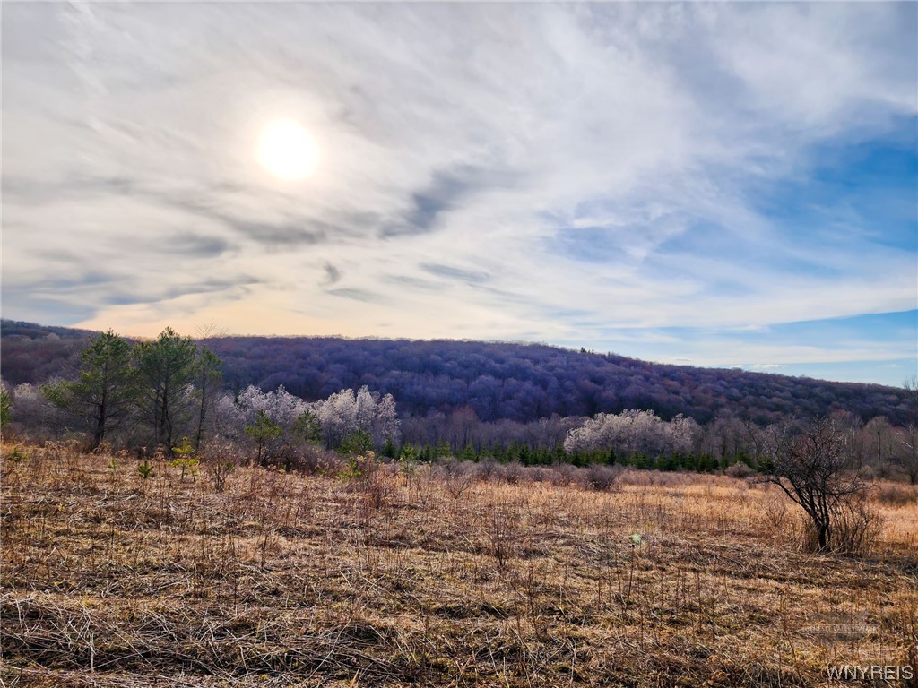0 Quigg Hollow Road Andover, NY 14806 - Photo 14 of 19