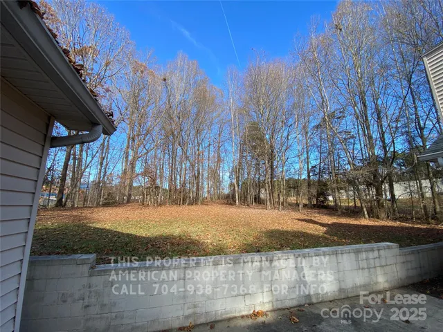 a view of a yard with trees