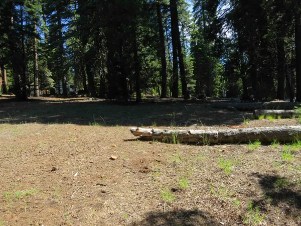 $26,000 | 637 Pine Canyon Road, Lake Almanor, CA 96137